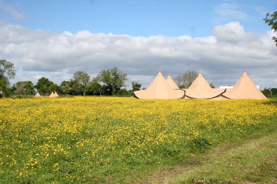 Large Tipi Event with four Tipis in in a wildflower meadow.